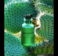 Louis Vuitton Cactus Garden (Unisex)  9ml Sample Atomizer