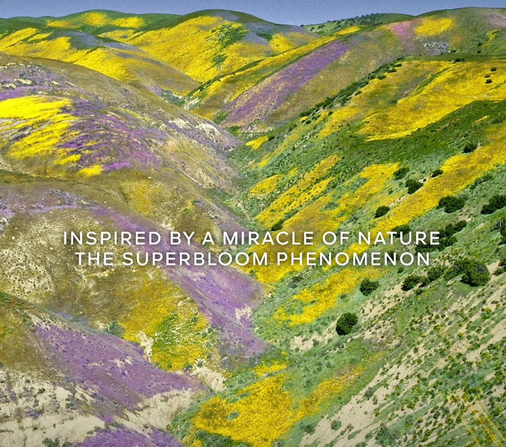 A scenic photograph of rolling hills covered in dense yellow and purple wildflowers, with white text overlaid across the center reading, 'INSPIRED BY A MIRACLE OF NATURE THE SUPERBLOOM PHENOMENON.'.