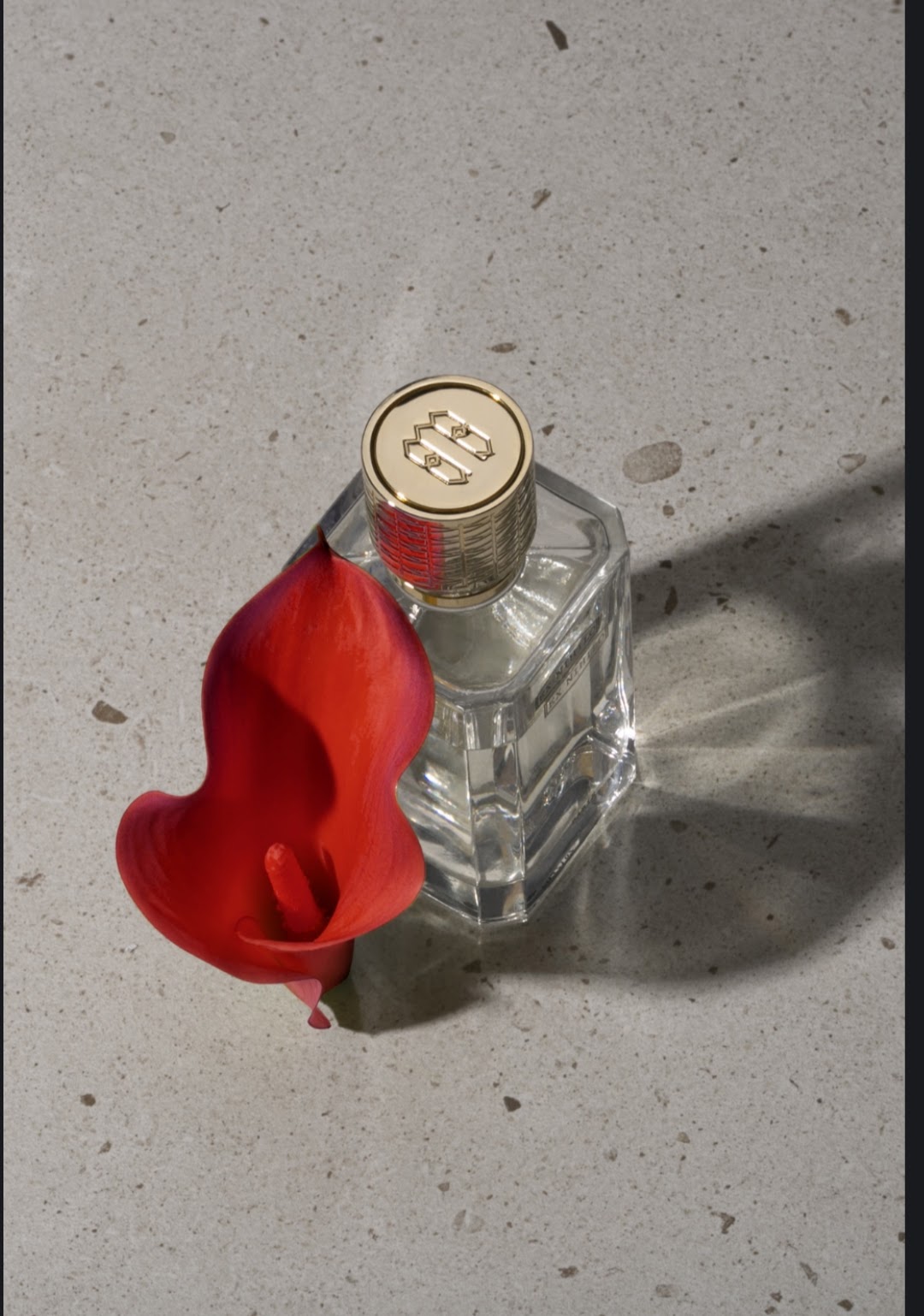 A clear glass perfume bottle with a gold cap, placed on a speckled gray surface next to a red calla lily flower.